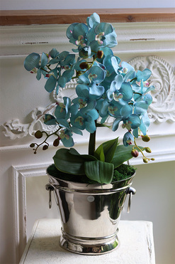 Blue Venice, turkusowy sztuczny storczyk w coolerze, wys.57cm