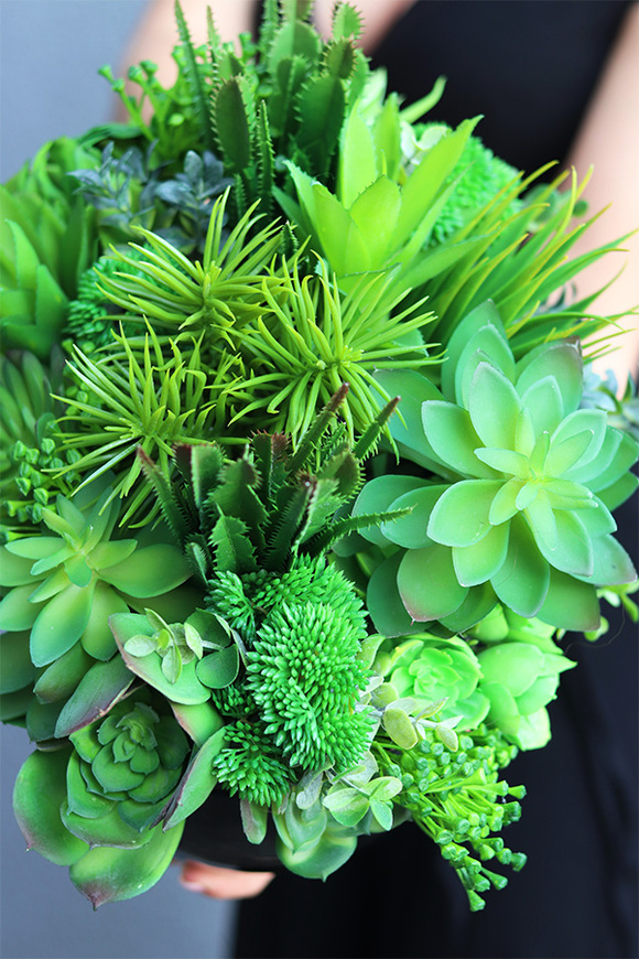 Black Grefia, kompozycja sukulenty w donicy, wym.27x31cm