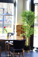 Bambus Goldino, sztuczna roślina w donicy