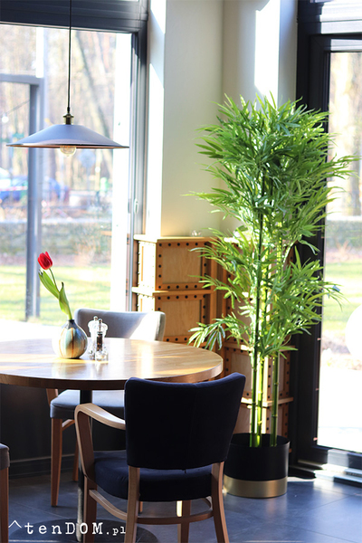 Bambus Goldino, sztuczna roślina w donicy