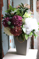 flowerbox Hortensja Premium 2, wym.54x40cm