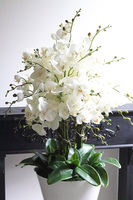 Pale Moon, biały sztuczny storczyk w białej donicy