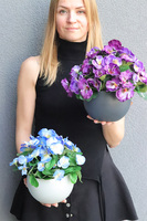 Bratki Violet, fioletowe bratki w naczyniu