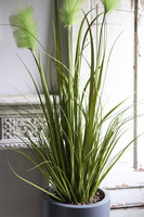 Fiberglass Grey Grandelio, sztuczna trawa w szarej donicy, wys.160cm