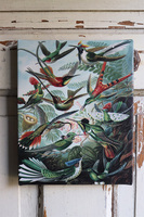 Paradiso, obraz z egzotycznymi ptakami, wym.25x20cm 