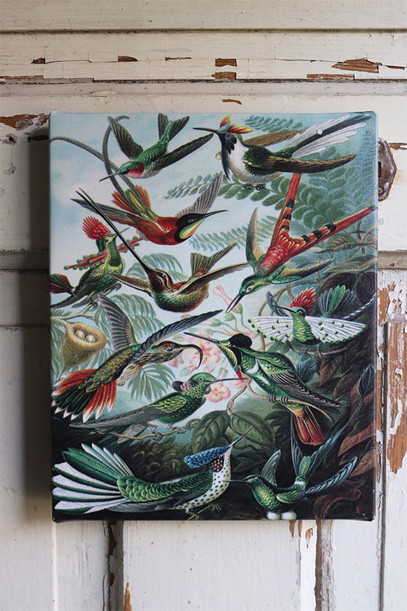 Paradiso, obraz z egzotycznymi ptakami, wym.25x20cm 