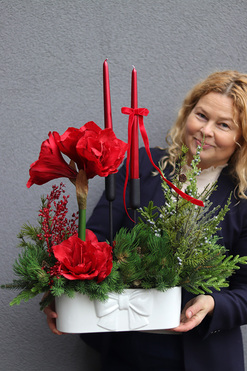 OD RĘKI Amarylis Kokarda Denerra, świąteczna kompozycjaz czerwonymi kwiatami, wys.66cm