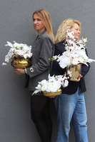 Lorient Gold, kompozycja kwiatowa w złotej misie