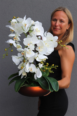 biały storczyk Glass Mieliva, wys.52cm