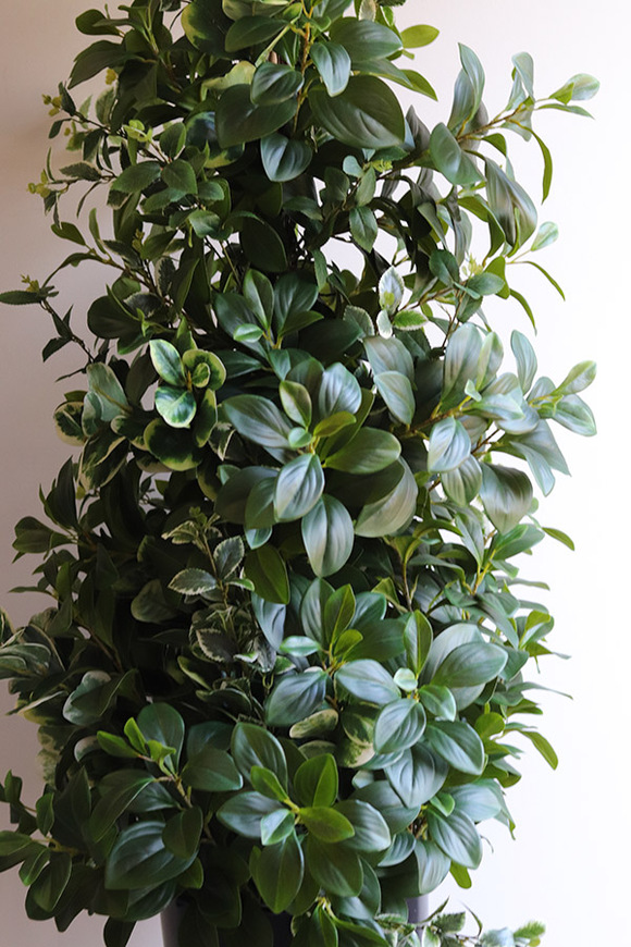 New Green Saute, drzewko sztuczne kolumnowe we wkładzie