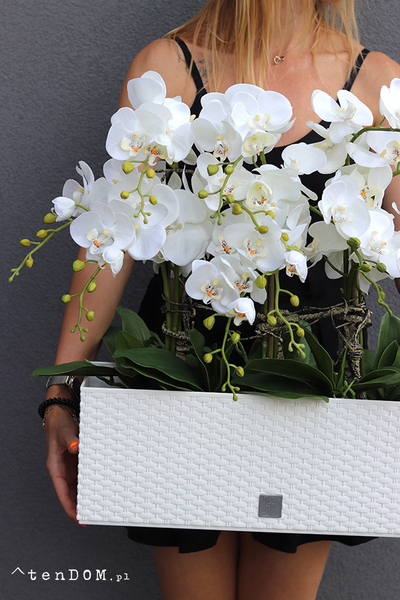 Samanta Natural, wysokiej jakości sztuczny storczyk