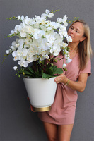 Biała Flotylla, elegancki sztuczny storczyk