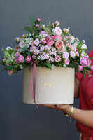 bogaty flowerbox z różami, Rosario Velvet