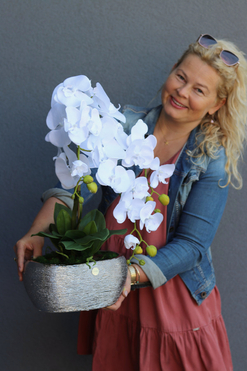 Silverino, biały storczyk w srebrnej donicy, wys.63cm 