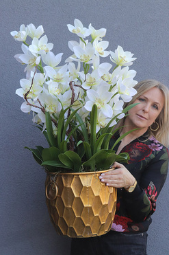 OD RĘKI Fellis Cymbydium, biały gumowy storczyk w złotej donicy, wys.87cm 