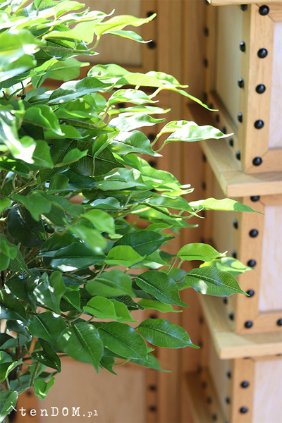 Fikus Benjamin I, sztuczna roślina w doniczce