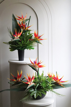 Crowne Amazonka, bukiet nagrobny we wkładzie, dł.