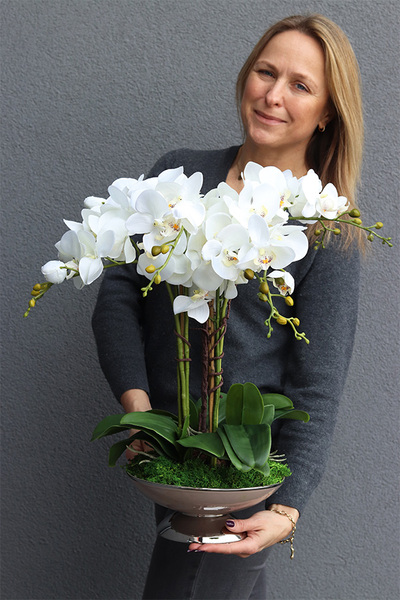 Caribe, elegancki storczyk w beżowym pucharze, wys.50cm 