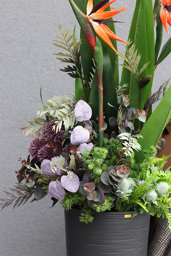 Strelicja Genassa Exclusive, egzotyczna dekoracja podłogowa