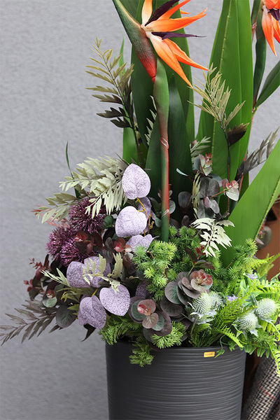 Strelicja Genassa Exclusive, egzotyczna dekoracja podłogowa