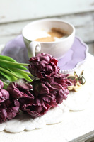 bukiet gumowych tulipanów, Novelty Purple, 5szt. dł.46cm 