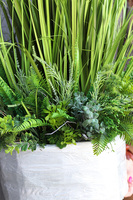 Trawa Latem Saute, sztuczna trawa w stretchu