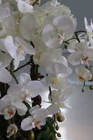 Golderia Copper, elegancki storczyk podłogowy w miedzianej donicy, wys.130cm