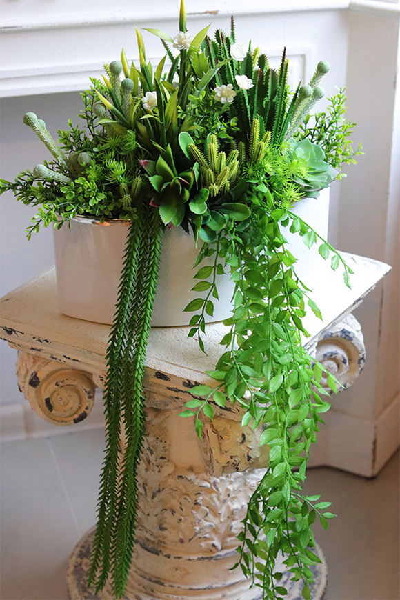 Anya Manfredo Sukulenty, zielona kompozycja w donicy