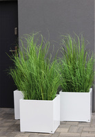 Fiberglass Quartet, sztuczne trawy w białej donicy