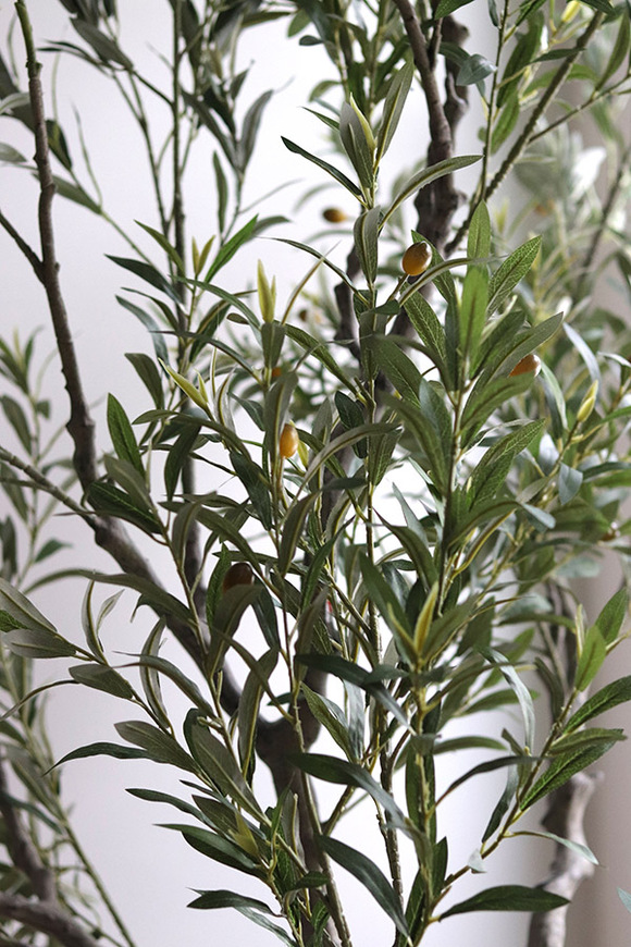 Oliwka Premium XXL, sztuczna roślina drzewko oliwne