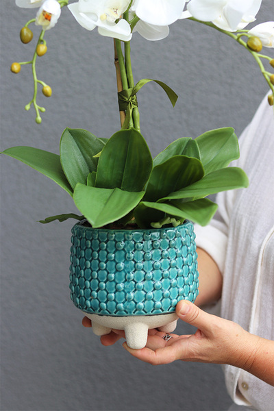 Torino Turtle, sztuczny storczyk w turkusowej osłonce