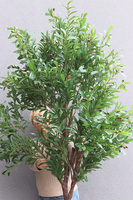 Drzewko Oliwne, sztuczna roślina w doniczce