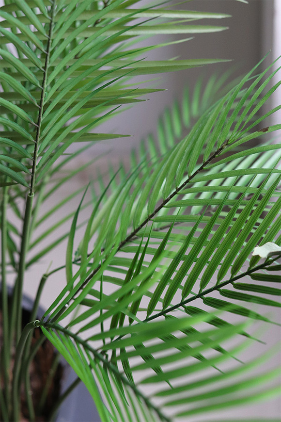 Haiti Concrete, sztuczna palma w betonowej donicy