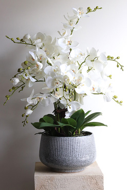 OD RĘKI Ferelita Mineni, stylowy storczyk w doniczce ze wzorem, wys.76cm