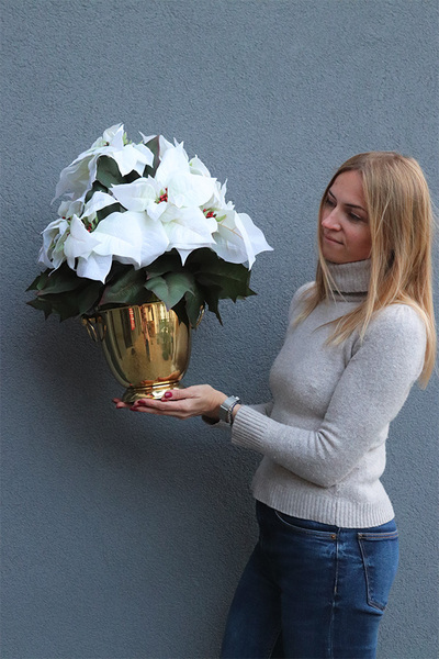 Gwiazda Betlejemska Cooler Gold, wysokiej jakości sztuczna roślina	