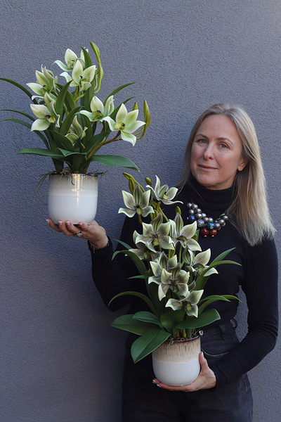 Harlow Green, gumowy storczyk w donicy