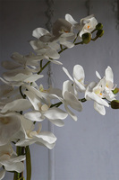 sztuczny storczyk Cinderella Mirror w srebrnej donicy, wys.63cm