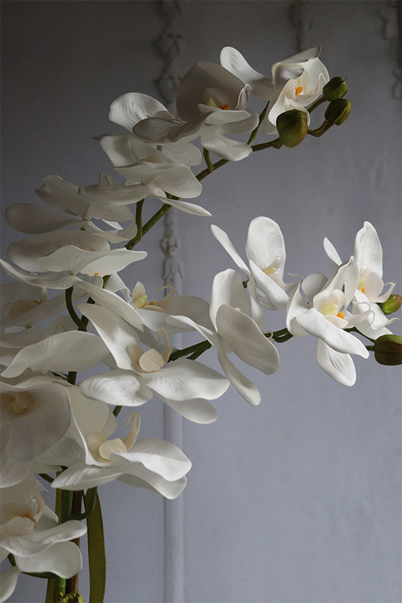  sztuczny storczyk Cinderella Mirror w srebrnej donicy, wys.63cm