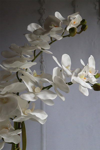  sztuczny storczyk Cinderella Mirror w srebrnej donicy, wys.63cm