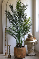 Clementine, sztuczna palma w złotej donicy