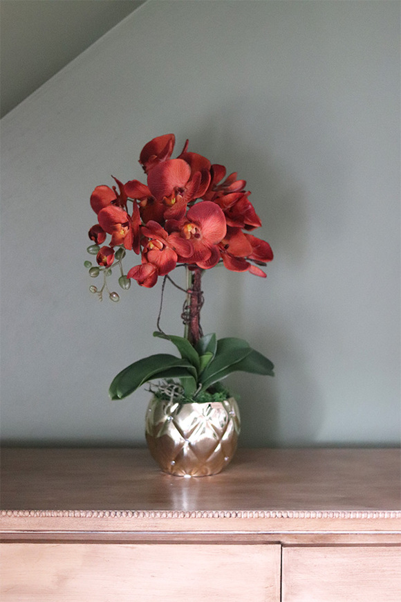 miedziany storczyk w złotej donicy, Diamond Red