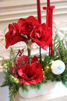Amarylis Denerra Branding, świąteczna kompozycja z czerwonymi kwiatami