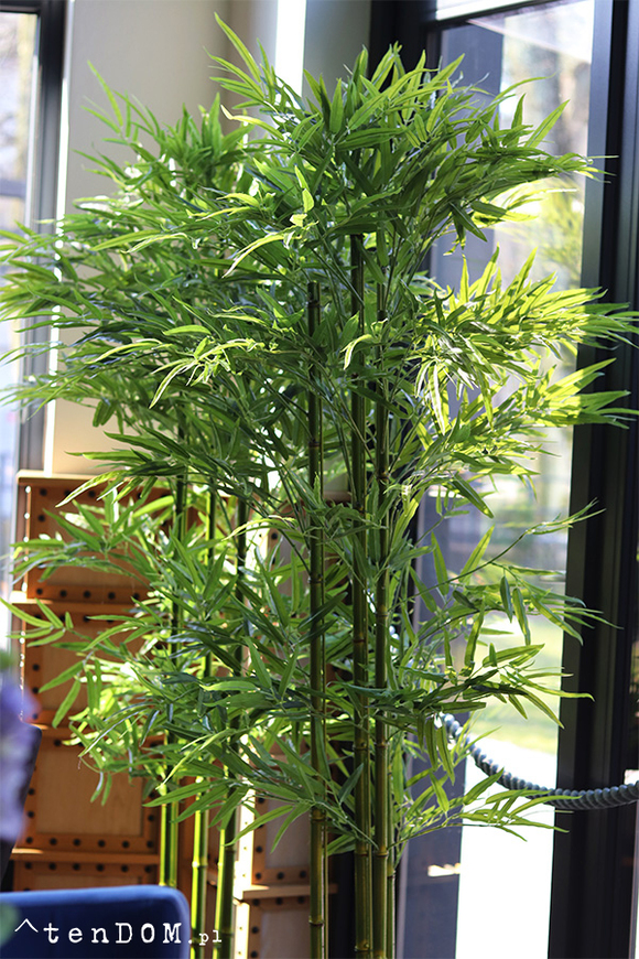 Bambus Goldino, sztuczna roślina w donicy