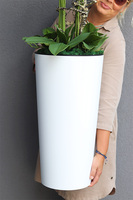 Ballerina Mediolan, podłogowy gumowy storczyk w białej donicy