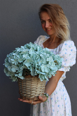 kosz z niebieskimi hortensjami, Delicato 2, wys.35cm