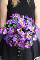 Bratki Violet, fioletowe bratki w naczyniu