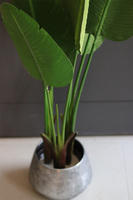 Bananowiec Simple Silver, sztuczna roślina w donicy