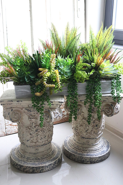 Grefsa, kompozycja sukulenty do Twojej donicy, rozpiętość 70cm