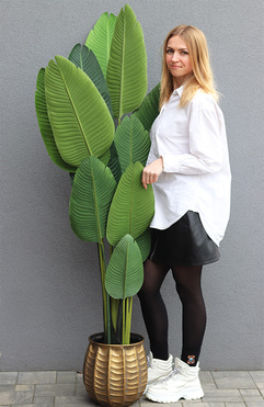 Bananowiec Bellis, sztuczna roślina w donicy, wys.180cm