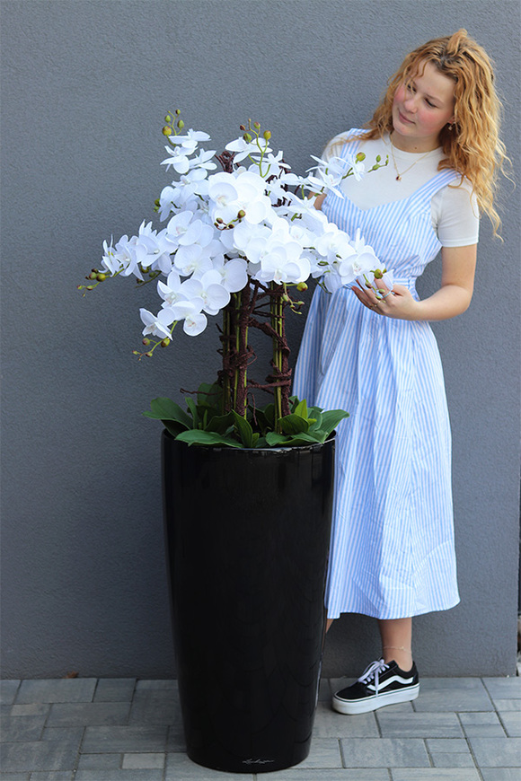 Lechuza Grande Premium, sztuczny storczyk